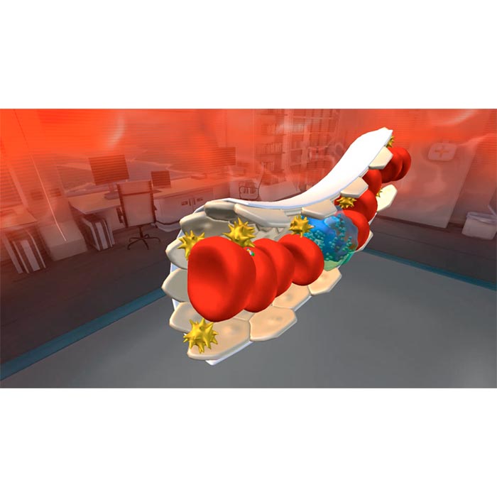 Биология. Цитология VR 5-11 класс